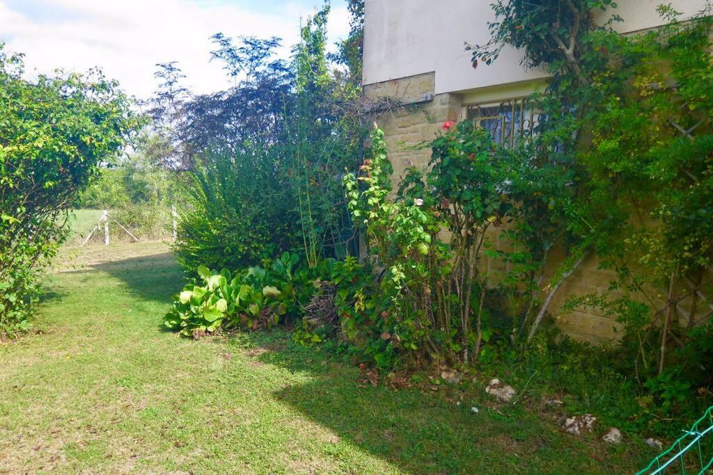 Les Petits Self Contained 2 Bedroom Apartment Molieres (Dordogne) Экстерьер фото